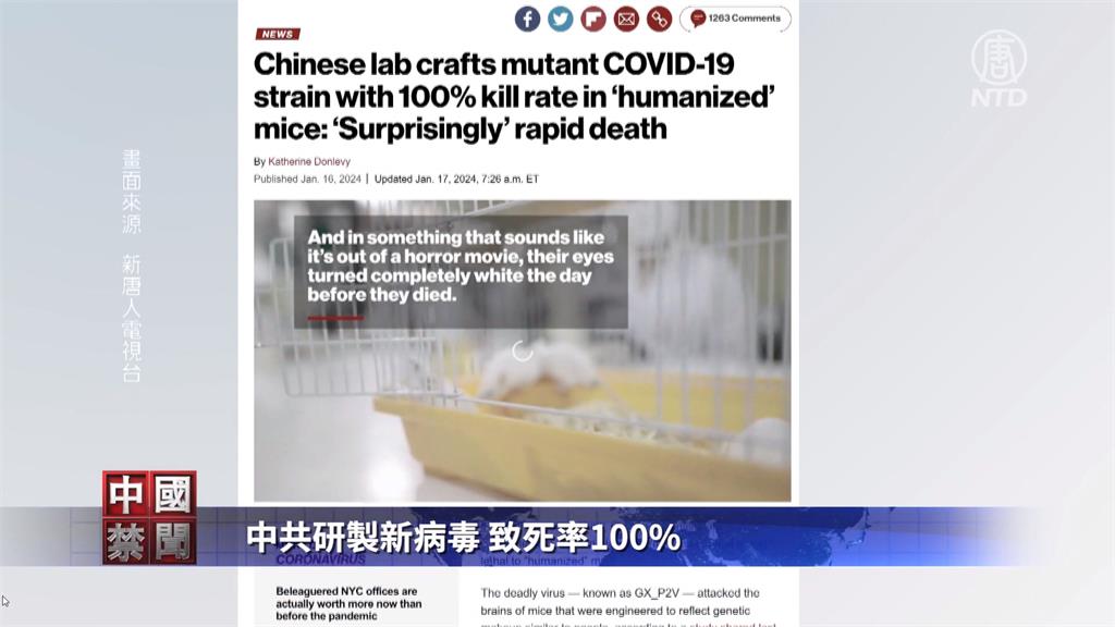 中國又製造出武肺變種病毒　實驗鼠8天就喪命