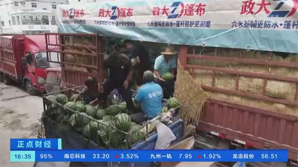 每天賣上萬顆西瓜　驗瓜師一天賺4200元秘訣曝光了