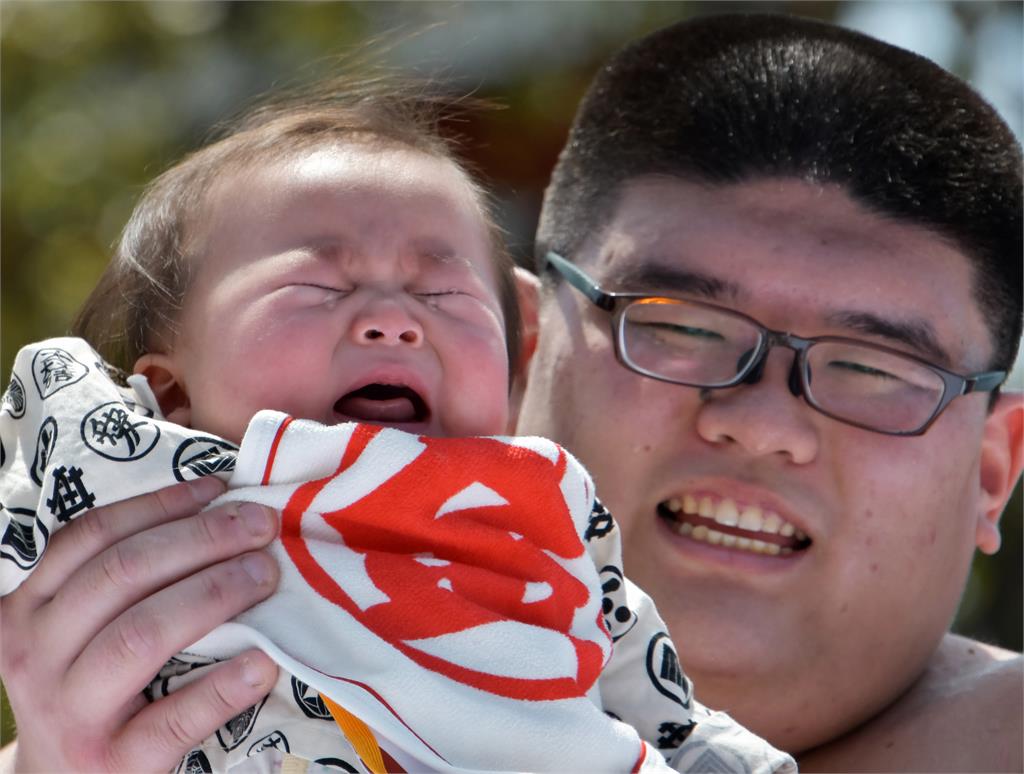 日本寶寶哭泣大對決　誰哭愈大聲誰就贏了