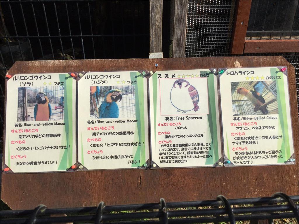日本動物園超恨麻雀！員工怒畫「跩臉肥樣」曝5星級惡行：蹭無極限