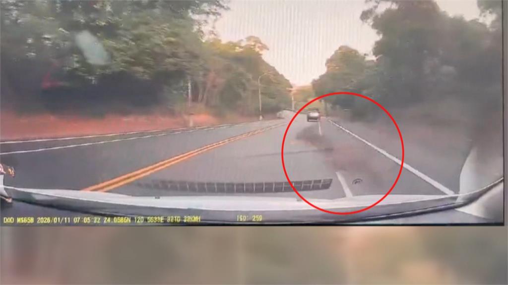 彰化多起"水鹿"撞車當場肇逃　苦主無奈求償無門