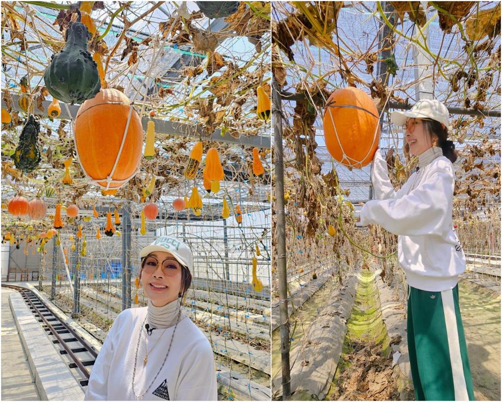 陳美鳳出外景「秀出巨瓜只剩細線死撐」!震撼模樣3千網看跪:風景不錯…