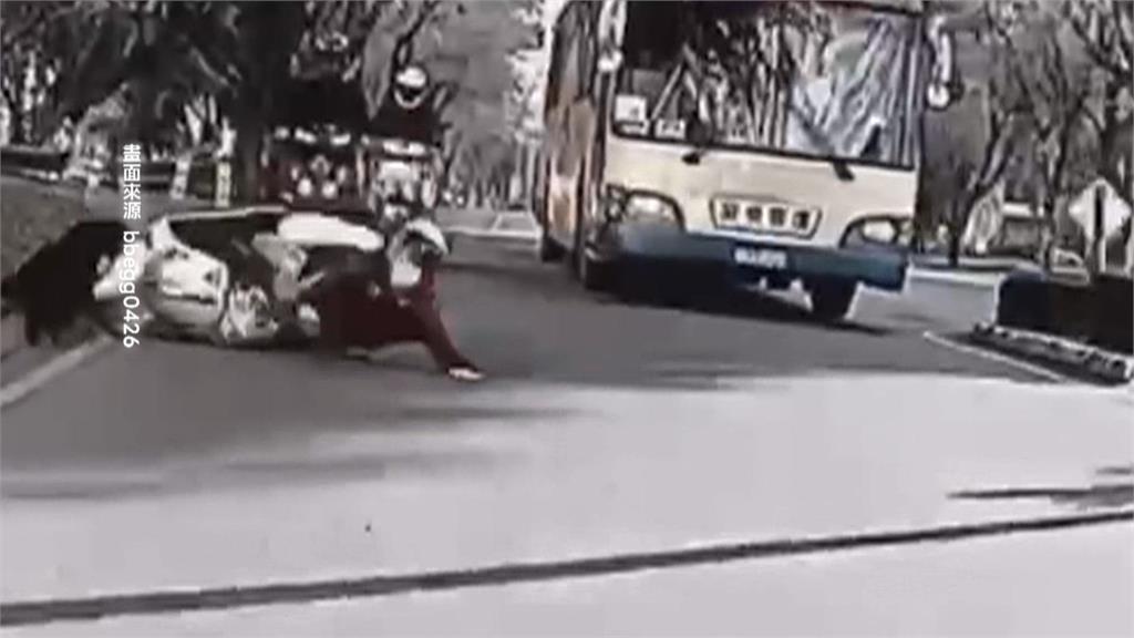 屏科大"校狗暴衝"撞翻車! 騎士慘摔四肢擦挫傷
