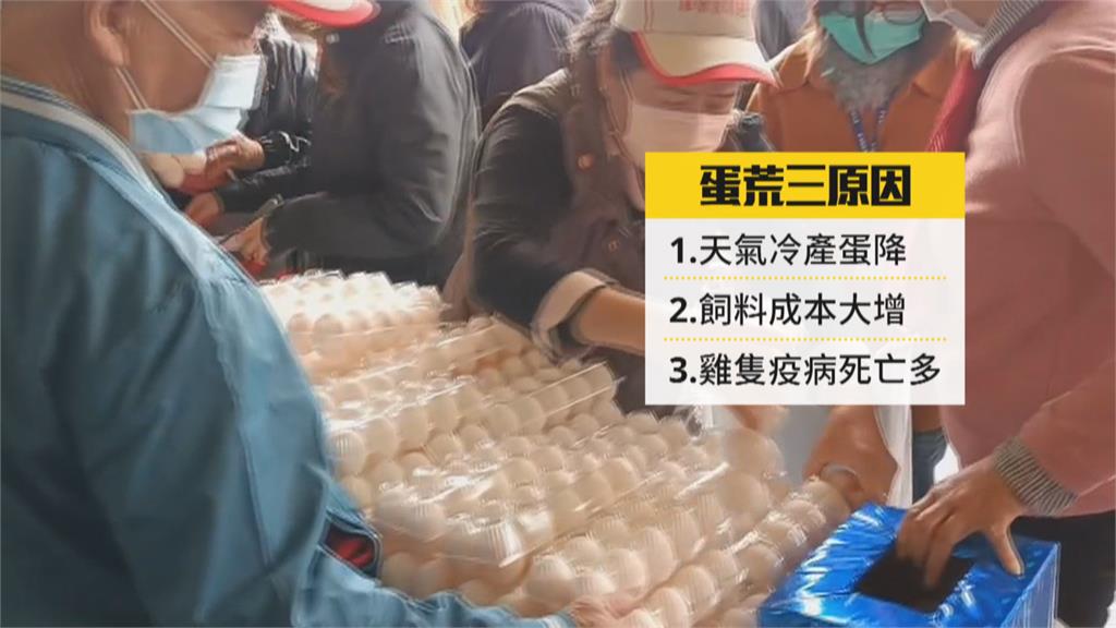 天冷蛋大缺!雲林蛋農聯合義賣1顆賣4元