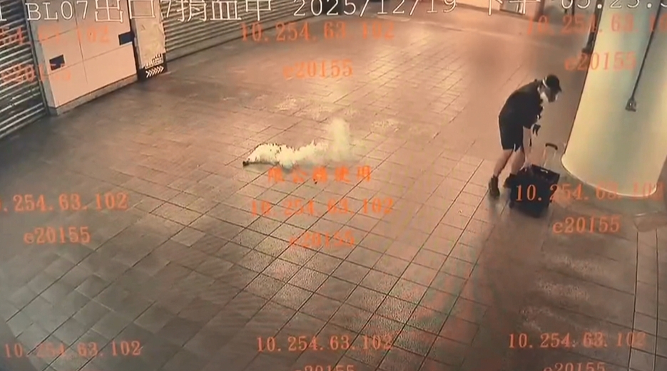 起底張文！曾任保全離職後長期無業　卻能在台北租屋？經濟來源成謎