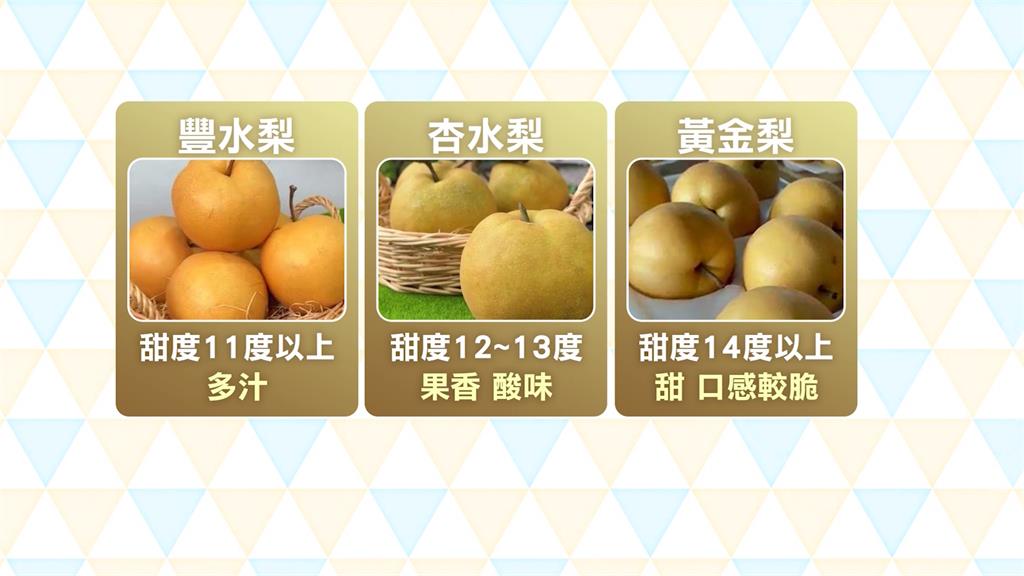 三星上將梨優質登場！　盛夏採梨熱鬧開跑