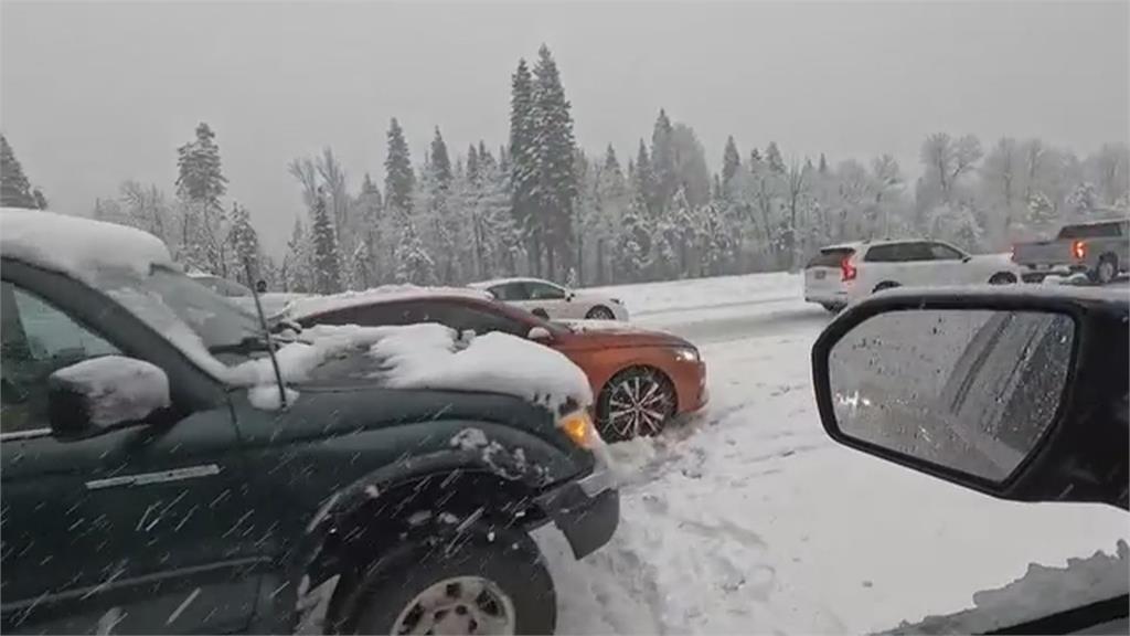 耶誕節美國加州豪雨　逾16萬戶停電　路樹倒塌