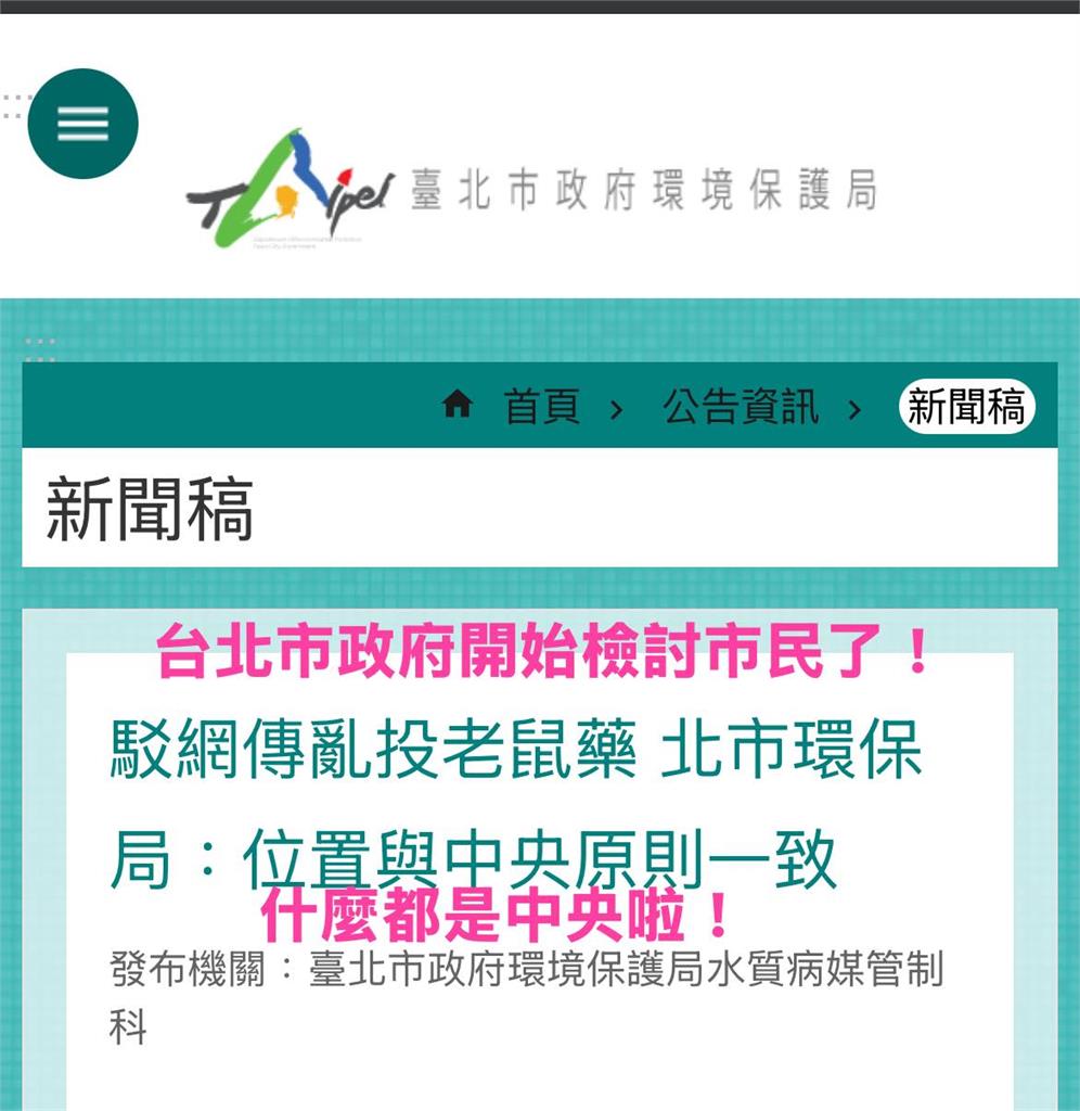 北市「鼠患」入侵商圈、校園！環保局駁斥亂投藥傳聞⋯網見「1關鍵字」氣炸