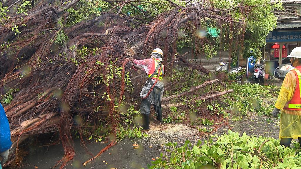 雨勢大慘況連連!北市府.北車"漏水" 路樹倒塌險砸人、多地區土石流警戒