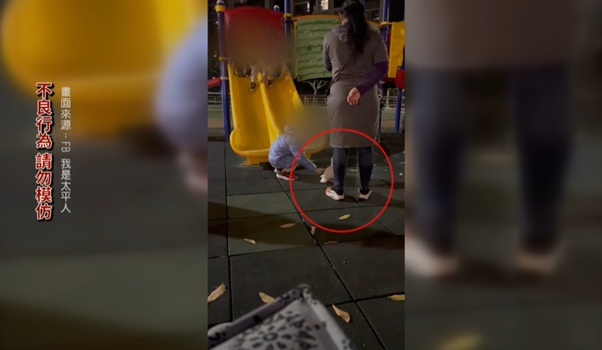 孩童「抓鴨溜滑梯」鴨子重複重摔　虐待已違法！目擊民眾轟：家長默許