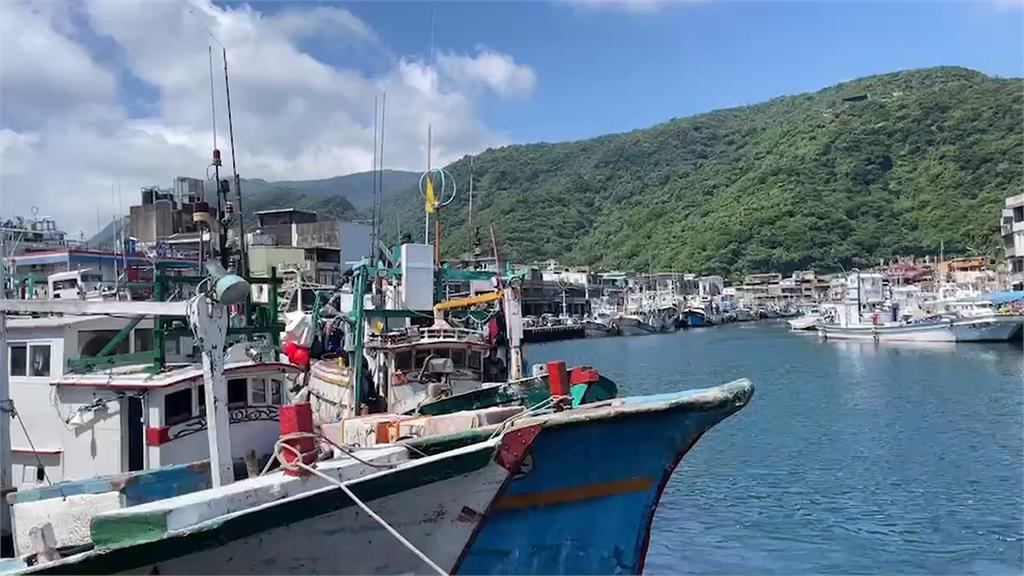 宜蘭黑鮪魚捕獲量激增 漁會猜測颱風趕走搶食海豚