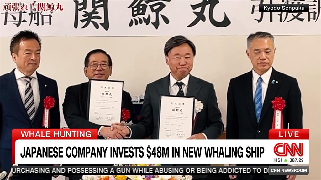不管食鯨爭議! 日本業者逆風而行 打造超大型母艦堅持商業捕鯨