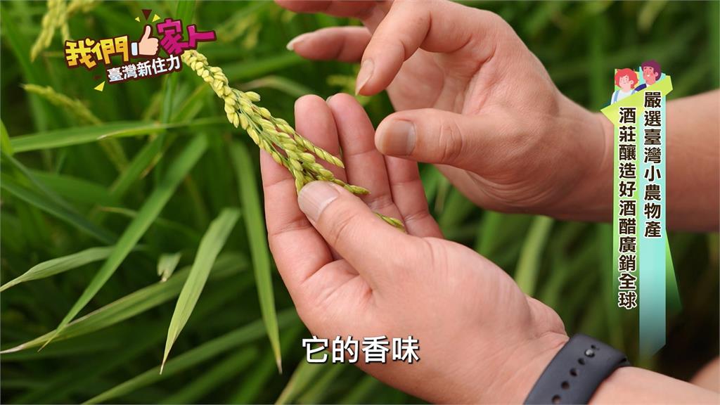 嚴選臺灣小農物產 酒莊釀造好酒醋廣銷全球