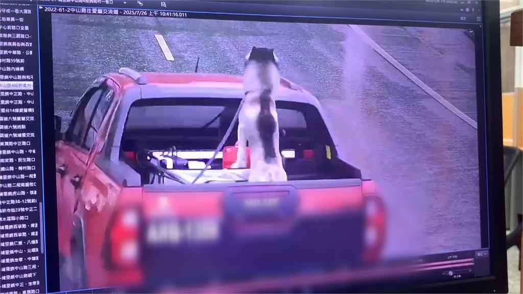 哈士奇慘遭皮卡車拖行　飼主澄清：意外非虐狗