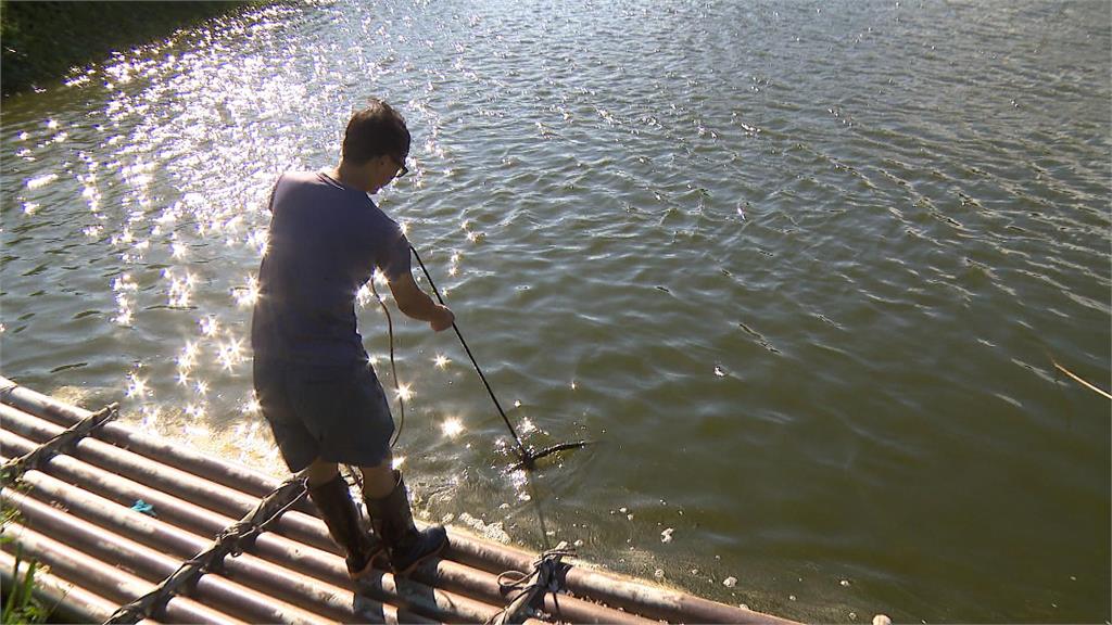 虱目魚的故鄉「台南」 青年推食魚教育帶民眾走進魚塭