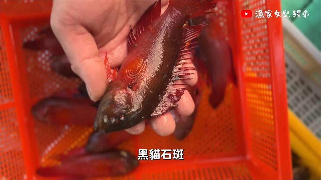 澎湖海鮮媲美日本!她揭台灣高級魚貨「保鮮宰殺手法」 直誇:物超所值