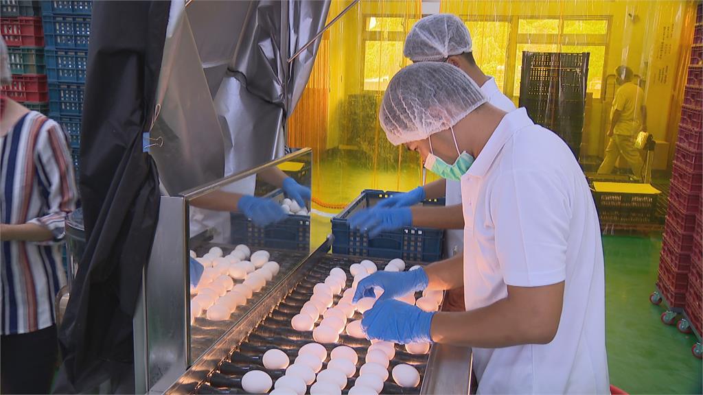台農進口巴西蛋全數下架 食藥署:效期標示不實並非過期