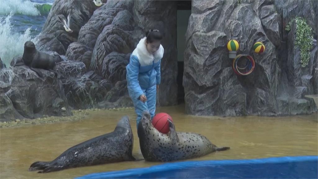 北朝鮮稱境內零確診活動正常　官媒採訪動物園