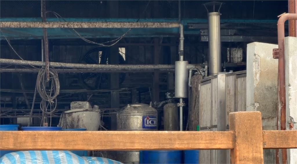 案發豬場廚餘蒸煮紀錄5月就異常 中市府案發前「僅稽查2次」