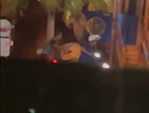 颱風過境造成珍貴木材成漂流木 3男深夜盜採紅檜漂流木挨罰