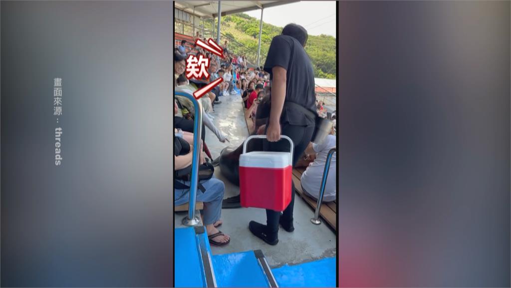 別再摸了！　民眾伸手「觸摸海獅」　訓練員秒變臉制止