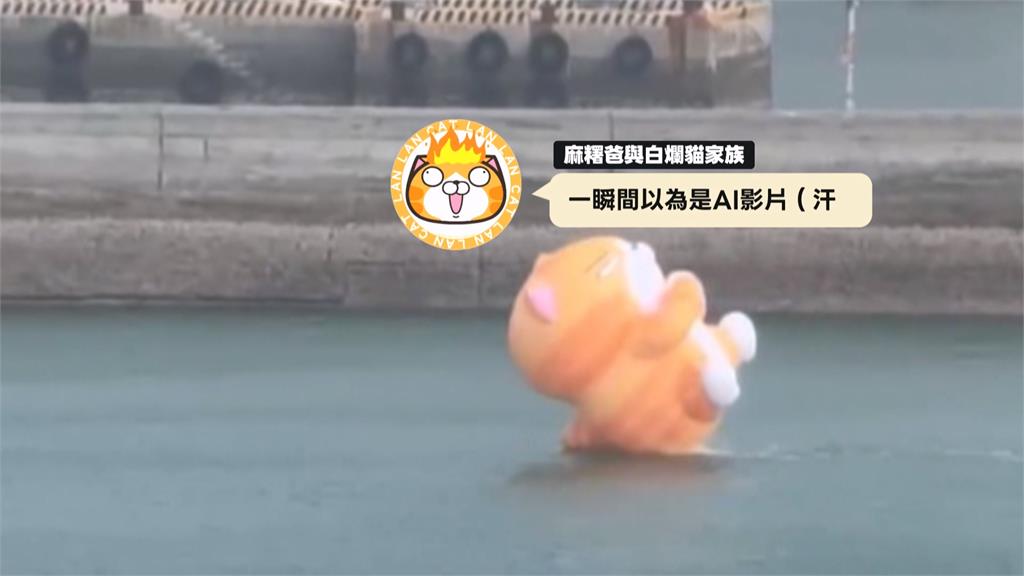 星期二也不想上班！「白爛貓」翹班去衝浪笑翻百萬人
