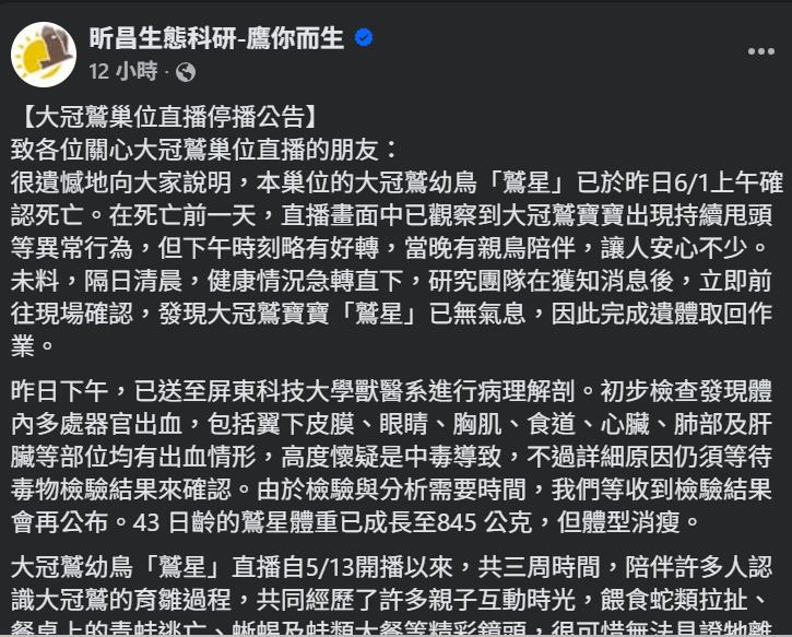 快新聞／大冠鷲幼雛「鷲星」解剖死因疑中毒　巢位收播百人送別