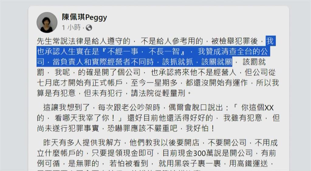 陳佩琪自爆開「人頭公司」!求情?喊話「請法院從輕量刑」