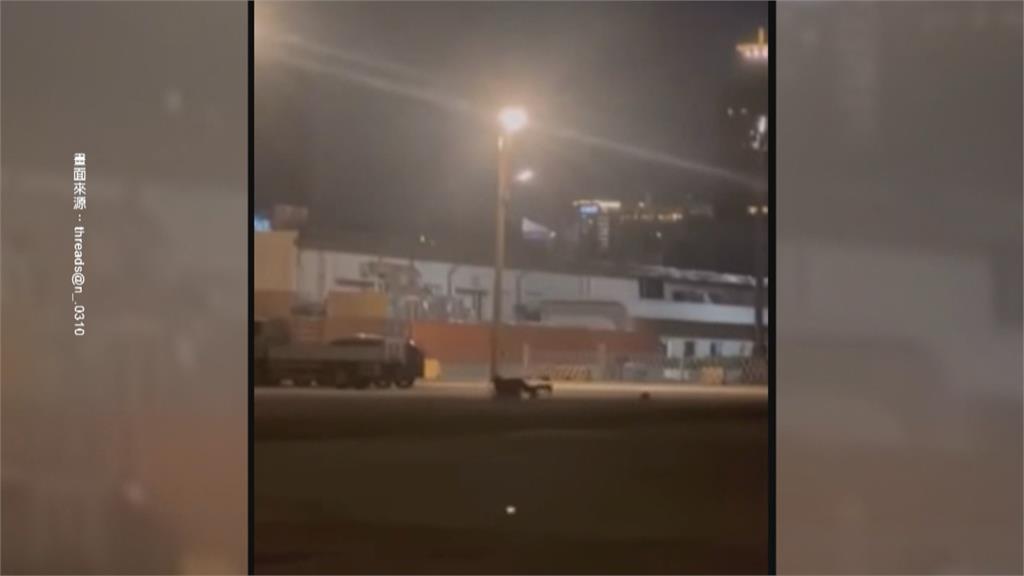 高雄港爆隨機攻擊！　女遭陌生男子「壓地毆打」喊救命
