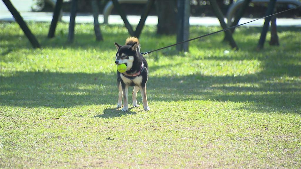 早晚「輻射冷卻」氣溫低　今年第一號颱風估週四生成