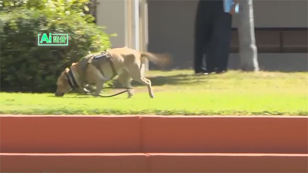 汪星人神隊友！　警犬泥濘山徑展「神鼻」救回脫水老翁