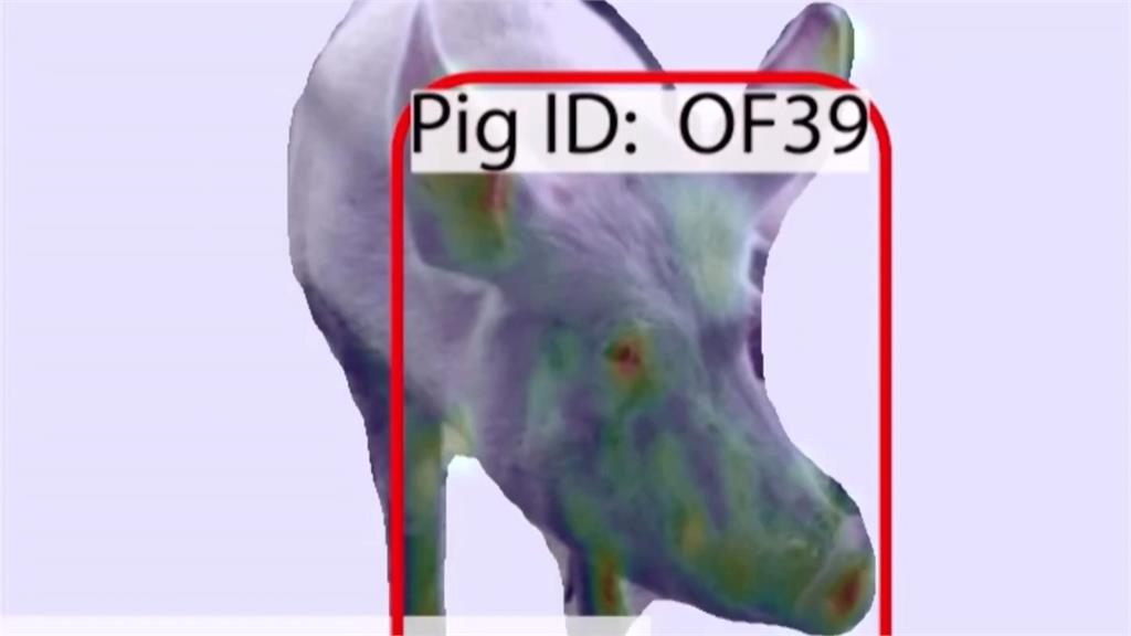 英國學者研發攝影系統 AI辨識動物表情評估情緒狀態