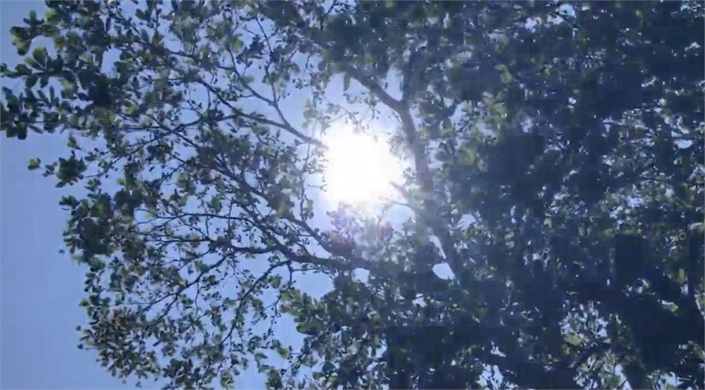 快新聞／端午連假天氣一次看！最熱高溫數據曝光　熱帶擾動侵台機率全說了