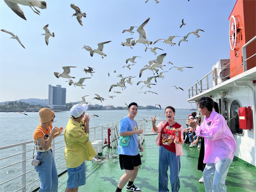 韓國海鷗近距離圍繞飛行阿翔問這麼大的鳥會害怕嗎？楊繡惠「越大越喜歡」