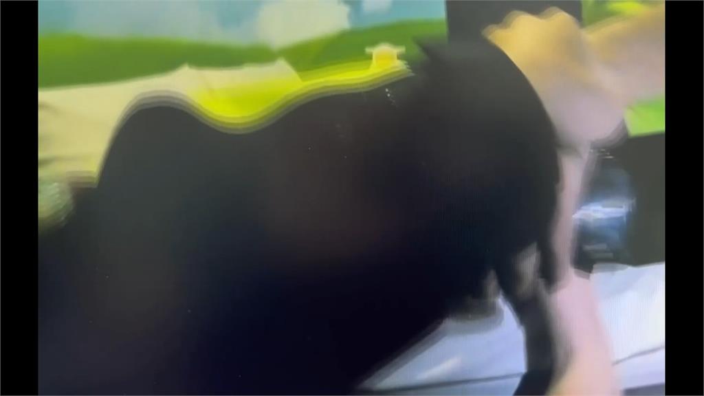 酒駕通緝犯躲青旅閣樓密室　「警界始源」成功抓人立大功