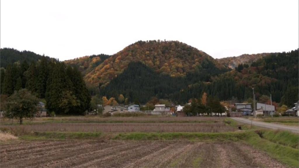 秋田79歲婦深山採蘑菇失蹤1日 疑「遭黑熊啃咬」頭部撕裂亡!