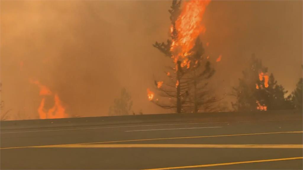 縱火？加拿大森林大火延燒　起火點近2百個