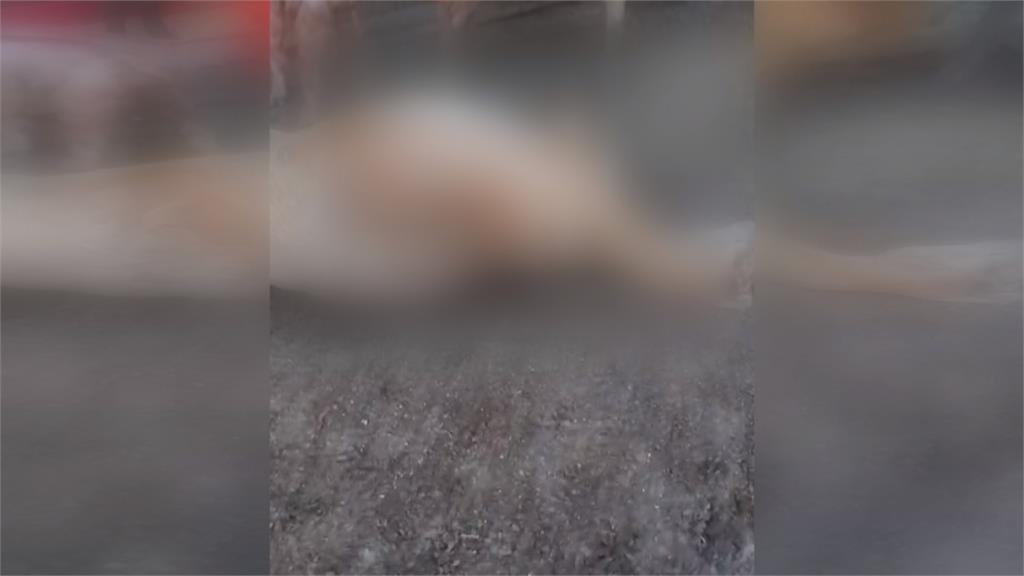 彰化羊群暴斃!疑土地糾紛 飼主控地主疑下藥毒死羊