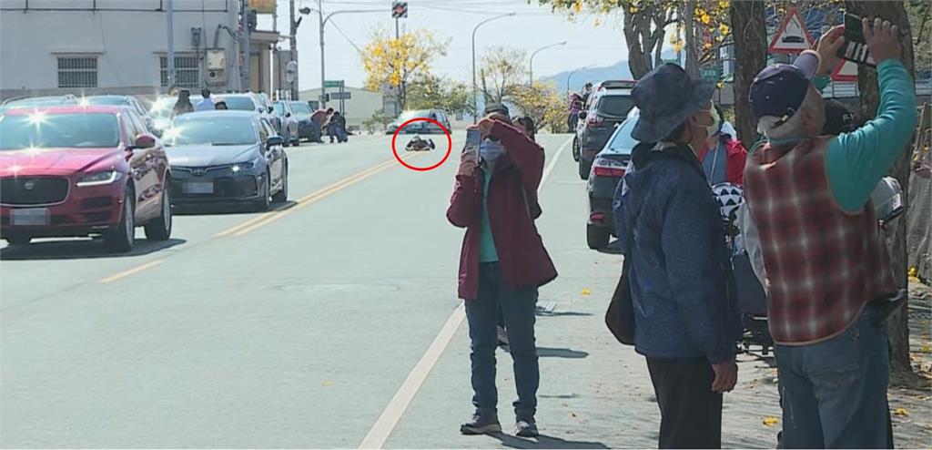 彰化風鈴木之亂!遊客趴路上 自拍棒架雙黃線上搶拍險象環生