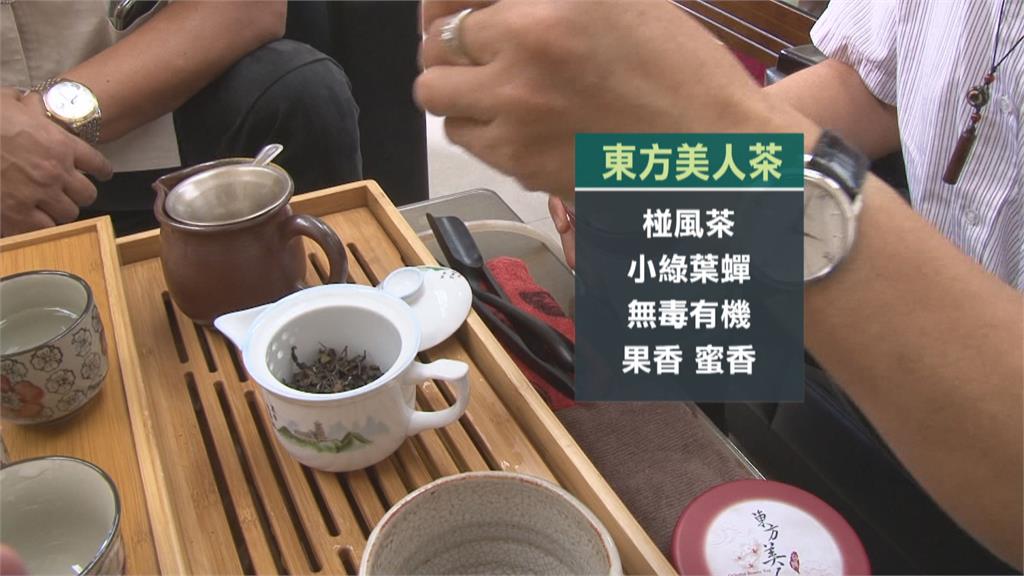 全國優質「東方美人茶」評鑑　帶動茶葉經濟產值