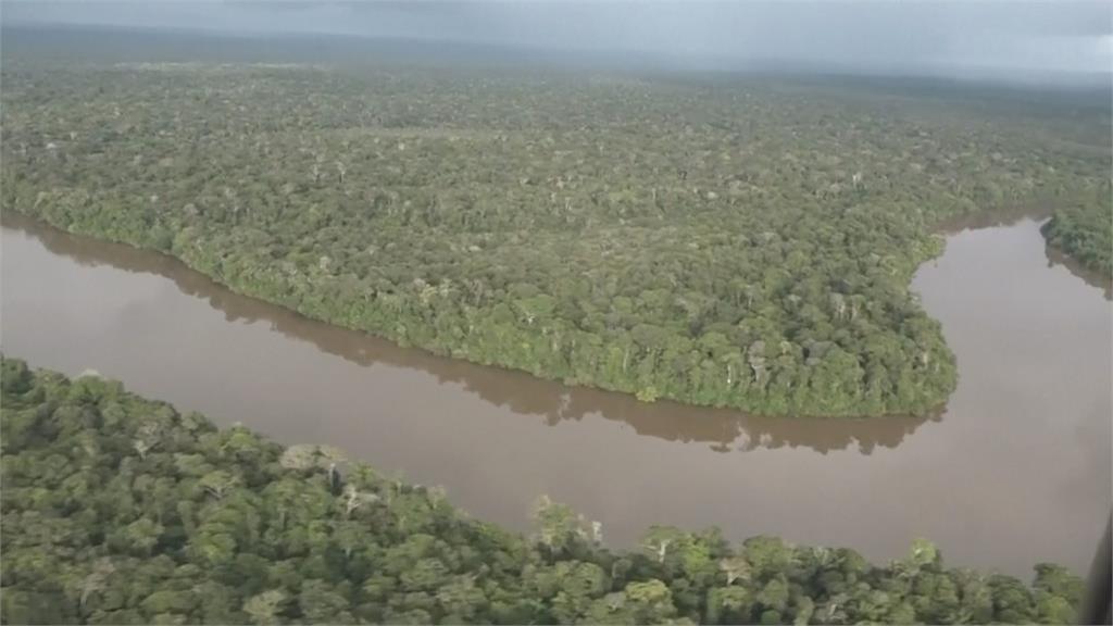 小飛機墜毀！亞馬遜雨林受困40天　4孩童奇蹟生還