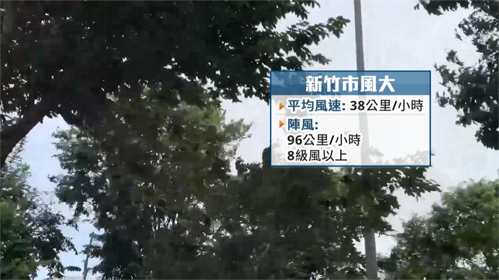 鳳凰颱風外圍環流發威！　新竹工地鷹架、路樹遭強陣風吹倒