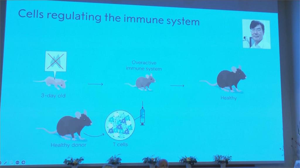 研究周邊免疫耐受性　美日三科學家獲諾貝爾醫學獎