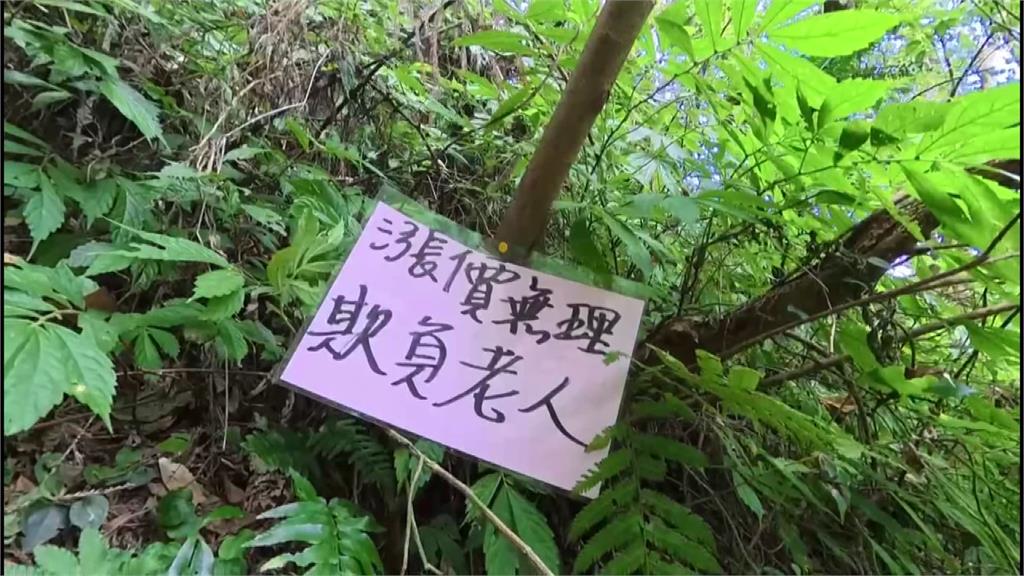 溪頭65歲以上特惠票漲價！　樹木遭洩憤亂塗鴉