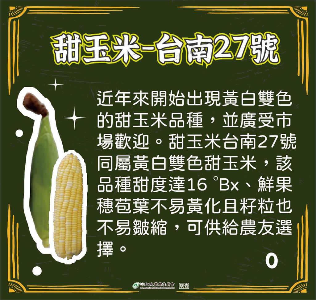 「黃、白、紫」玉米風味大不同！農委會分享10款好吃品種