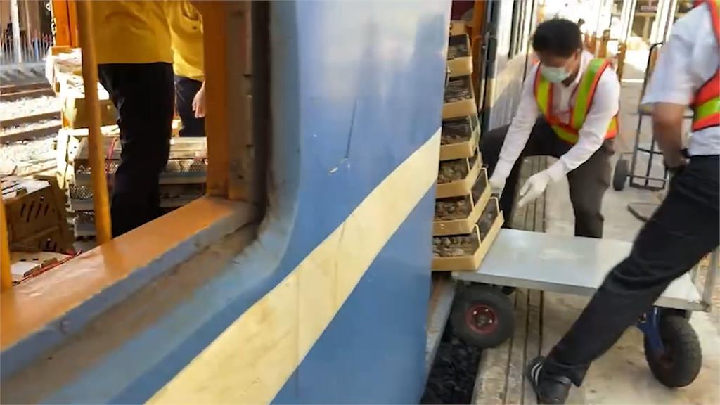 不只安鼠之亂還有運鼠之亂　動保團體揭露「動物運輸地獄」