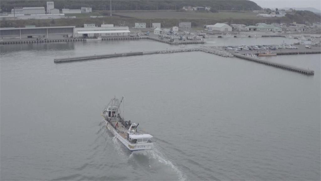 中國禁日本海鮮　美大使宣布軍方將採購日本扇貝