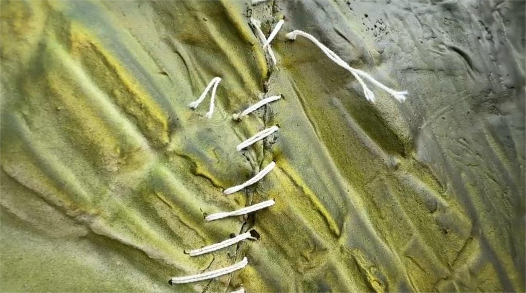 衛武營恐龍"斷頸"緊急縫補? 主辦方:本就是運送到才縫合