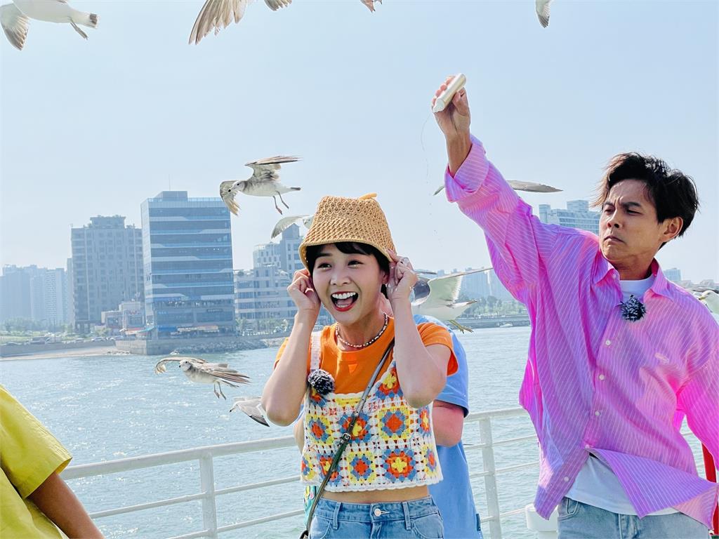 韓國海鷗近距離圍繞飛行阿翔問這麼大的鳥會害怕嗎?楊繡惠「越大越喜歡」