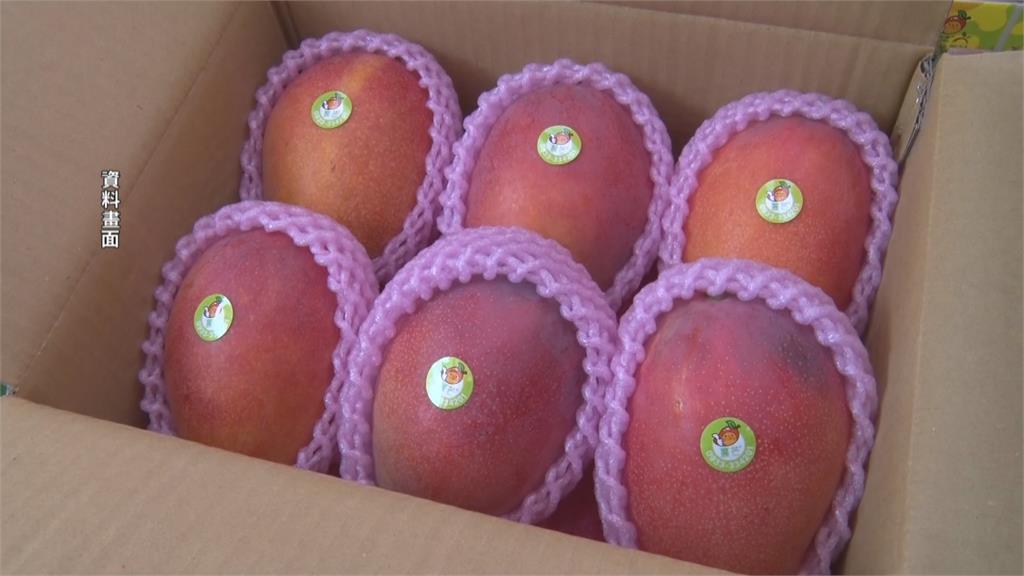農產外銷再傳捷報 農業部宣布 台南芒果、芭樂成功叩關歐盟